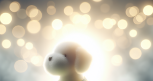 Sécurisez vos promenades nocturnes avec un gilet réfléchissant fluo pour votre chien